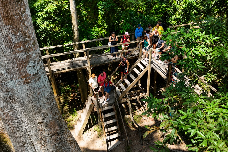 Floresta Amazônica